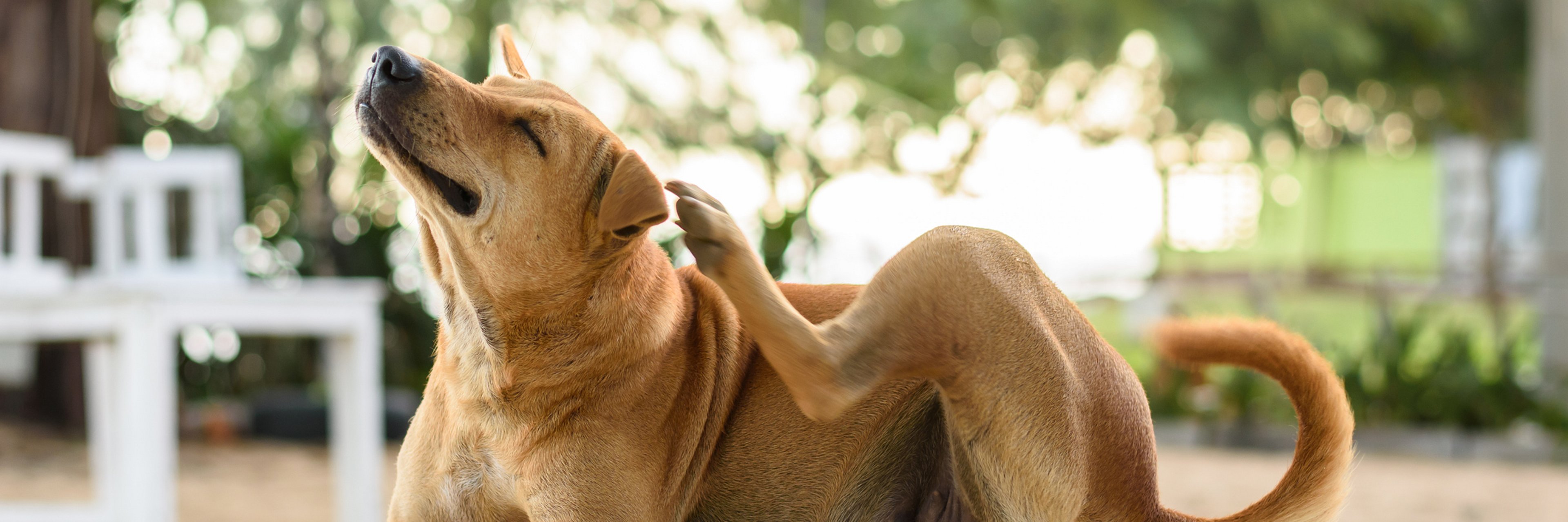 Foto (iStock / Jirakan)